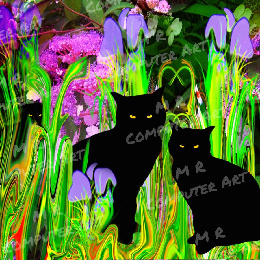 Cats Garden