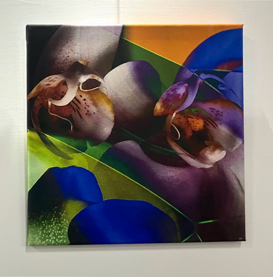 Orchid
