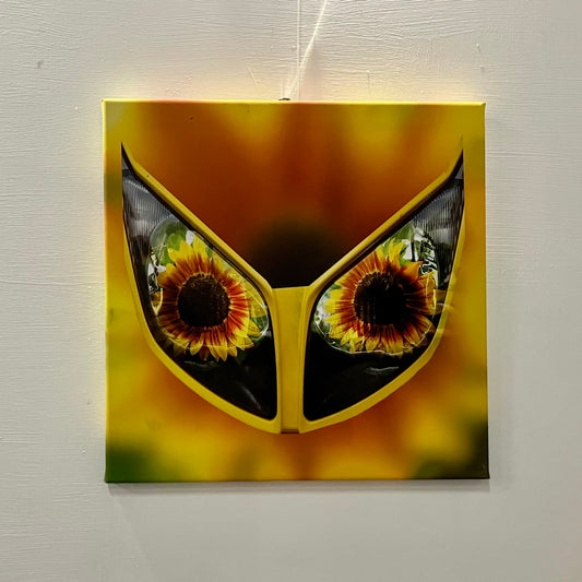 Sunflower Glasses