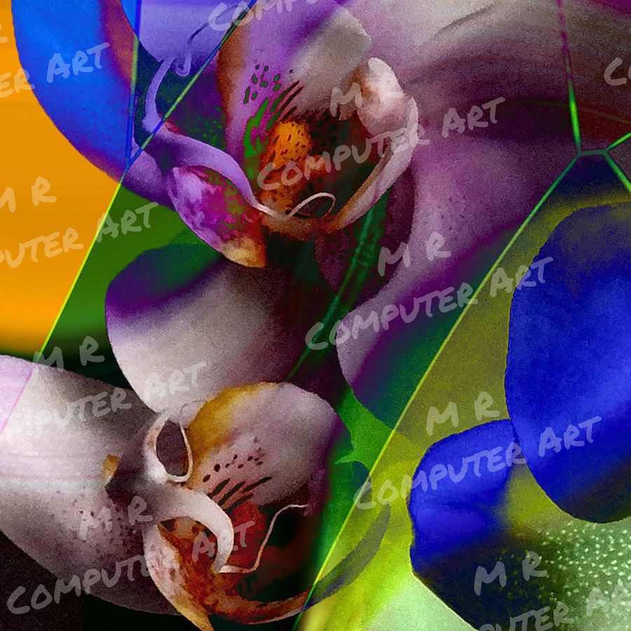 Orchid