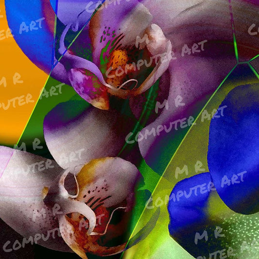 Orchid