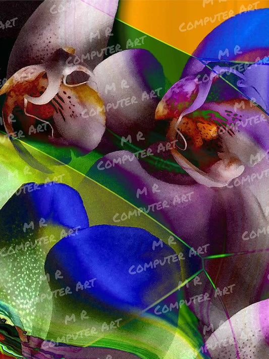 Orchid 1