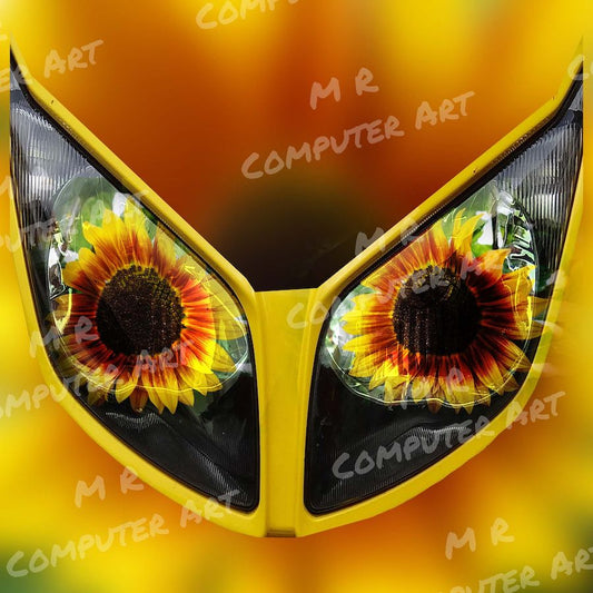 Sunflower Glasses