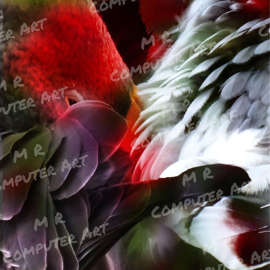 Feathers