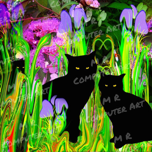 Cats Garden